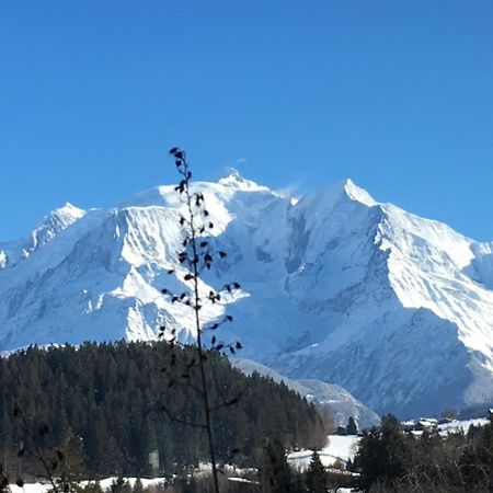 Les 4 Vallees Hotel อัลแบร์วิลล์ ภายนอก รูปภาพ