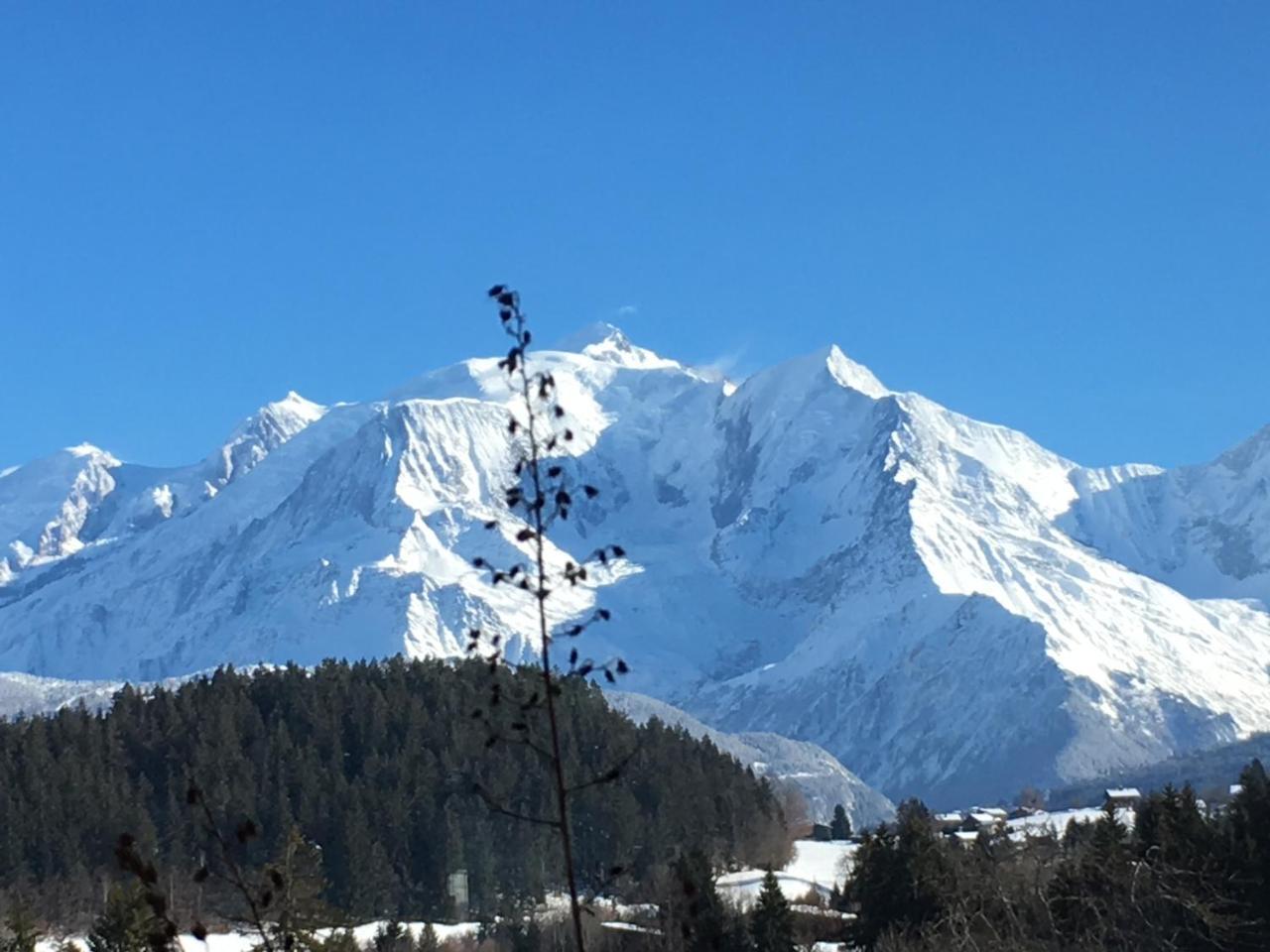 Les 4 Vallees Hotel อัลแบร์วิลล์ ภายนอก รูปภาพ