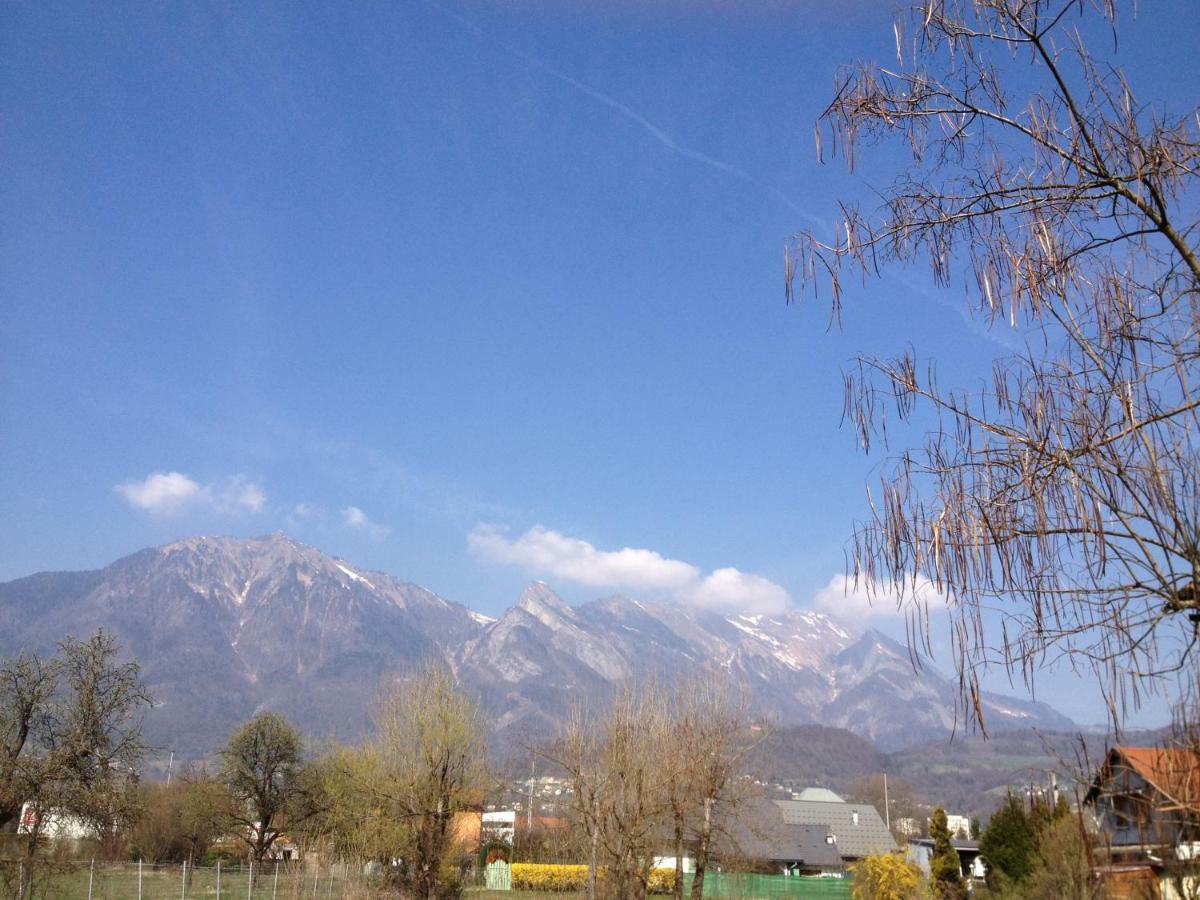 Les 4 Vallees Hotel อัลแบร์วิลล์ ภายนอก รูปภาพ